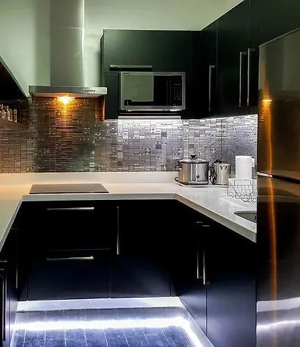 Apartment Modern Luxury Lower Penthouse Unit